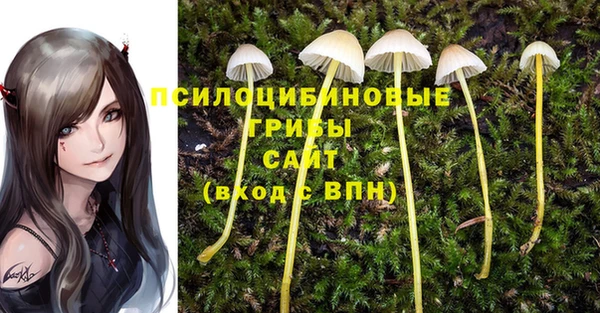прущая мука Алексеевка
